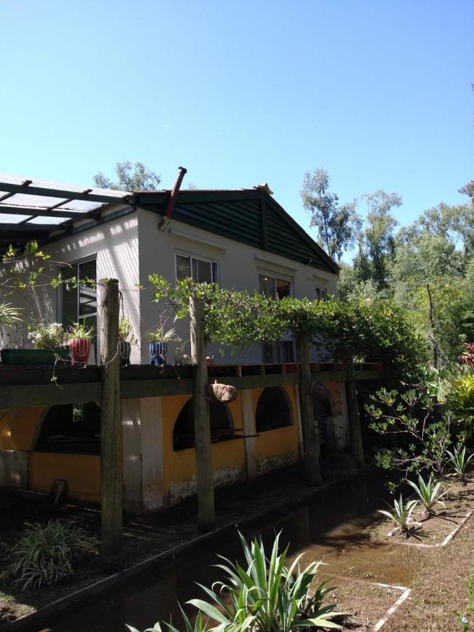 Cabanas Isla San Jose 티그레 객실 사진